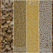 La cultura del cereal sin glutén con Proceli
