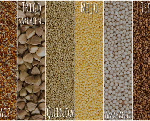 La cultura del cereal sin glutén con Proceli