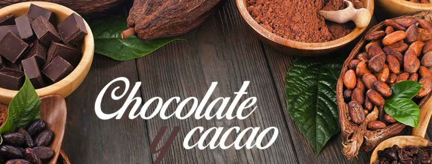 Curiosidades sobre el cacao y el chocolate en las especialidades sin gluten de Proceli